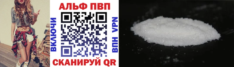 как найти закладки  Камешково  Alfa_PVP СК 