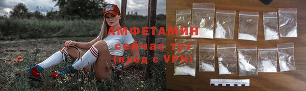 молекула духа Алексеевка