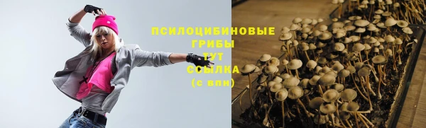 молекула духа Алексеевка