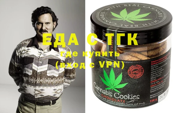 стаф Алзамай
