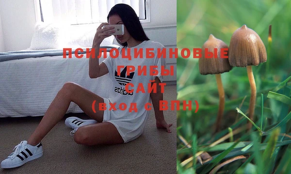 каннабис Алексин