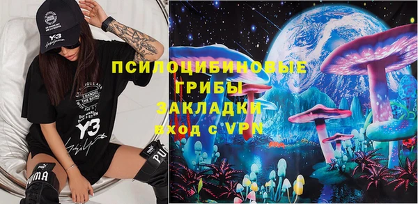 стаф Алзамай